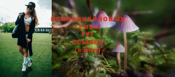 хмурый Арсеньев