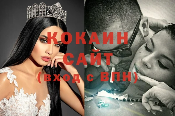 стаф Балахна