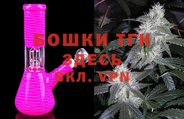 стаф Балахна
