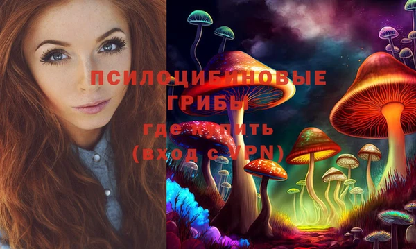 стаф Балахна