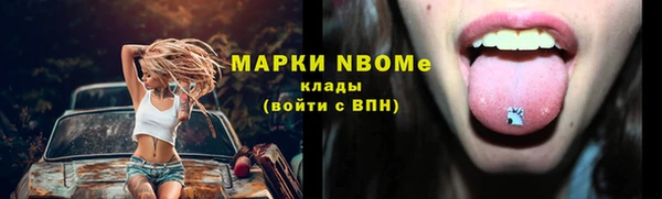 гидропоника Пересвет