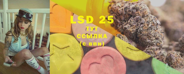 стаф Балахна