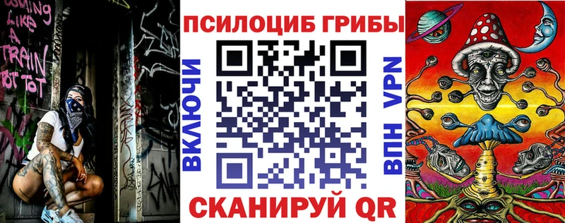 Галлюциногенные грибы Psilocybine cubensis купить наркоту Бронницы